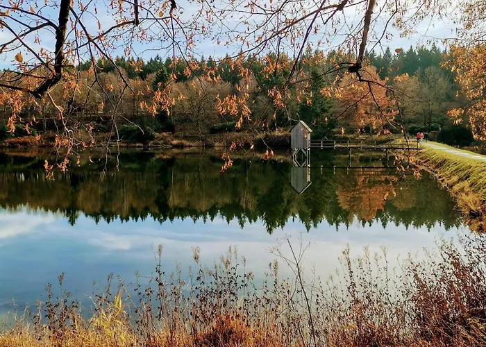 Hahnenklee Mit Seeblick 219 Daire Goslar