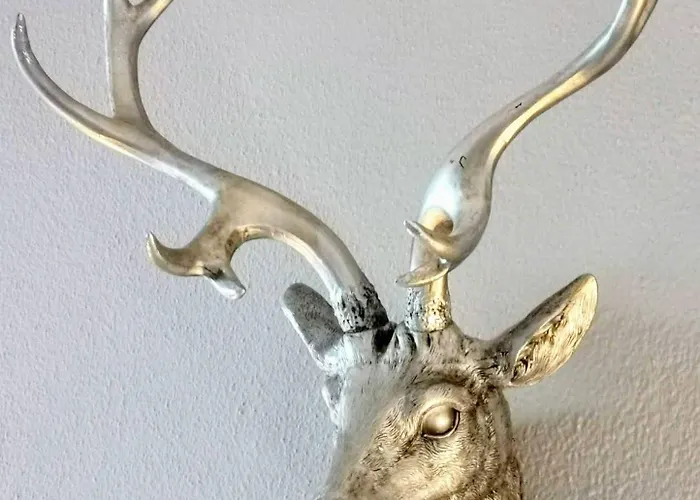 Hahnenklee Mit Seeblick 219 * Goslar