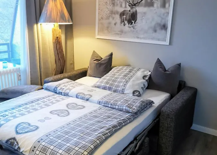 Hahnenklee Mit Seeblick 219 Daire