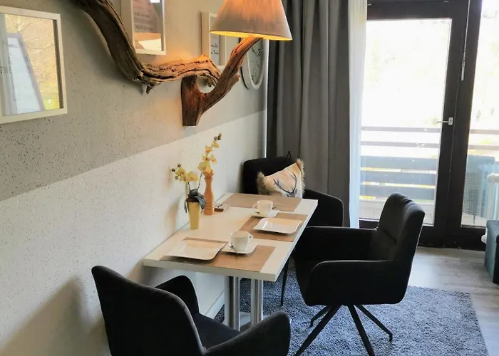 Hahnenklee Mit Seeblick 219 Daire